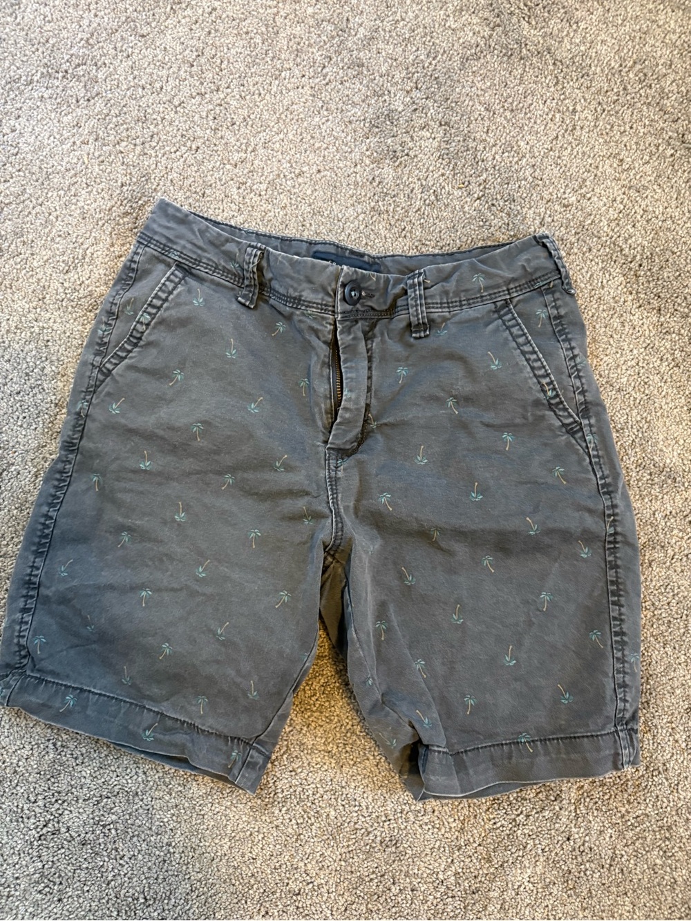 Aeropostale Charcoal Gray Palm-Embroidered Men's Flat Front Shorts